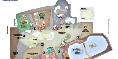 Georgia Aquarium A Kat Jeyografik